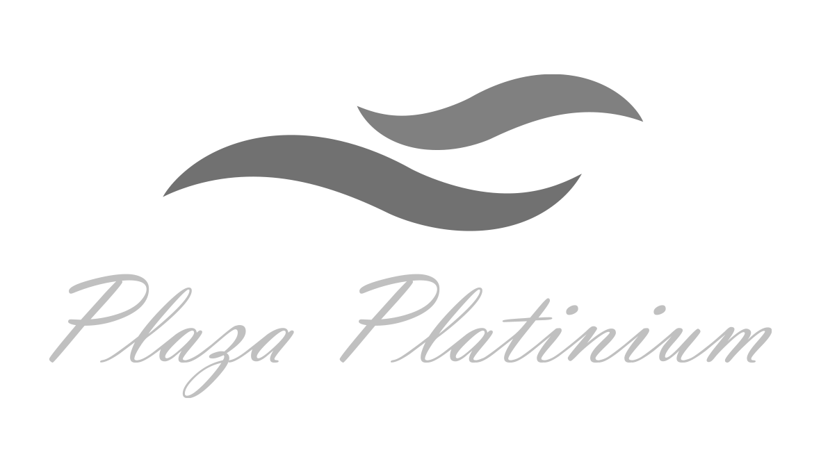 Plaza Platinium conakry guinée