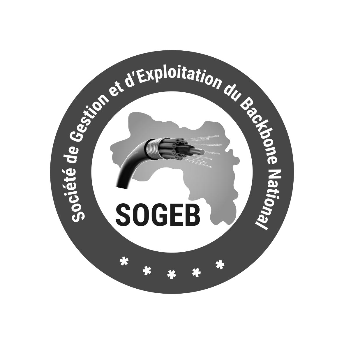 Sogeb conakry guinée